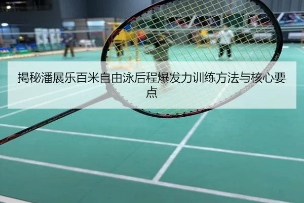 揭秘潘展乐百米自由泳后程爆发力训练方法与核心要点